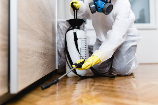 Best Affordable Pest Control Services  in Covington, GA