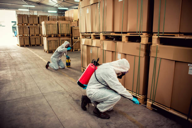 Best Exterminator Services  in Covington, GA
