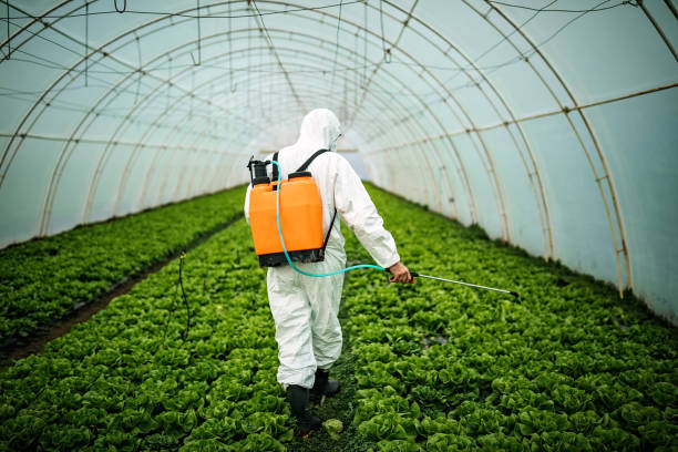 Best Pest Removal Services  in Covington, GA