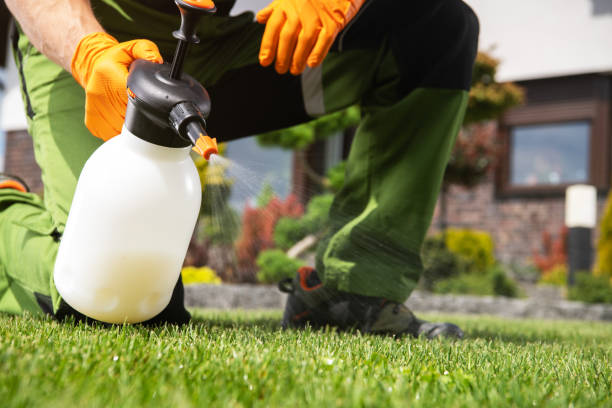 Best Emergency Pest Control  in Covington, GA