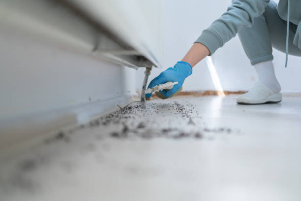Best Residential Pest Control  in Covington, GA